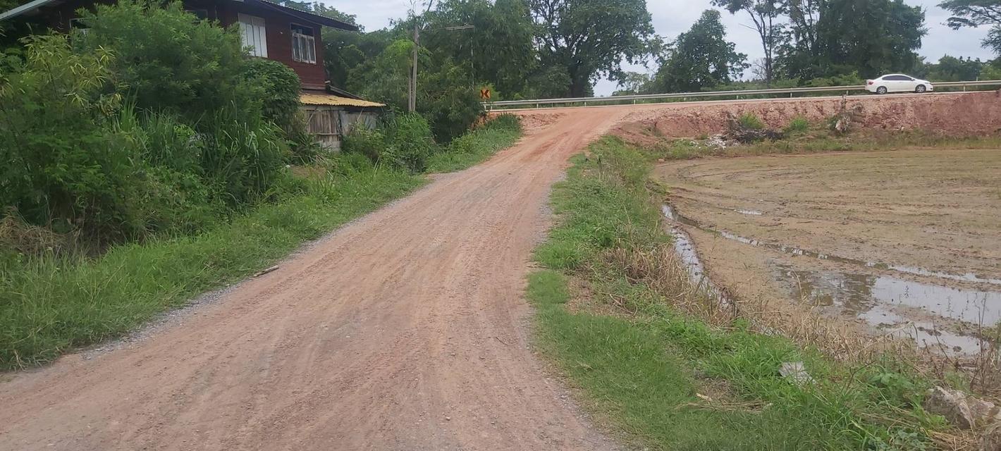 ที่ดินโซนพุทธมณฑลอีสานขอนแก่น 7