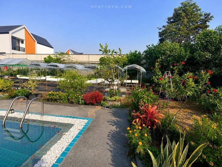 For Sale — Detached House with Private Pool near Pattaya Crocodile Farm• Single-storey detached house• Land size: 400 sq.wah / 1 rai• 3 bedrooms 8