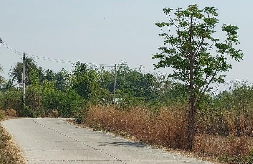 ขายที่ดินมาบโป่ง 6 ไร่ ติดถนนคอนกรีต ใกล้ถ.พานทอง-บ้านบึง(3023)-3กม. อ.พานทอง ชลบุรี 6