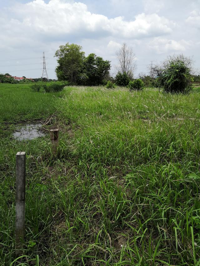 ที่ดินเปล่า 110 ตารางวา ถ.เลียบวารี ซอย วารี31 5