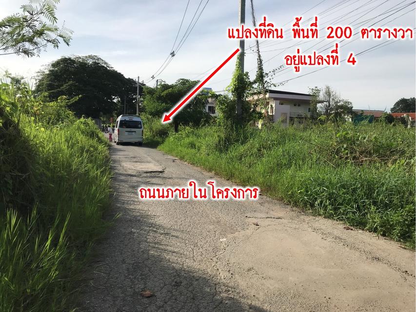 ที่ดิน กาดฝรั่ง หมู่บ้านธารดง ปาร์ควิว เชียงใหม่ 6