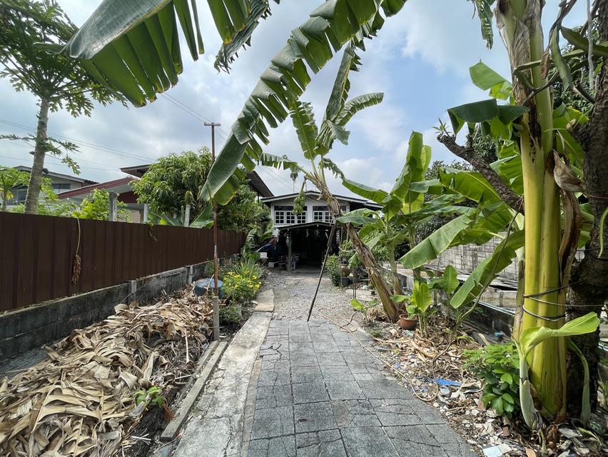 ขายบ้านครึ่งปูนครึ่งไม้พร้อมที่ดิน 100 ตรว. 5