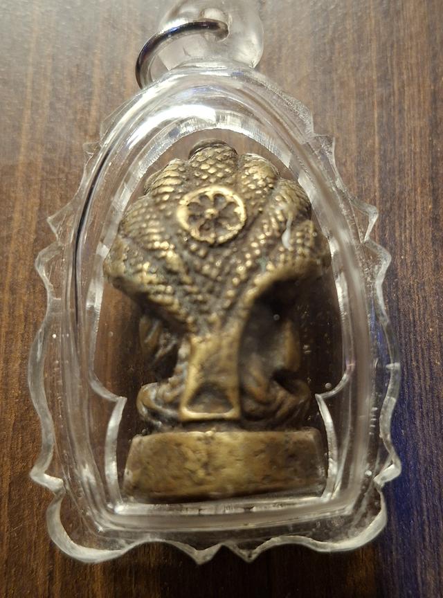 พระบ้าน หลวงทวด ปรางนาคปรก เนื้อสัมริด 2