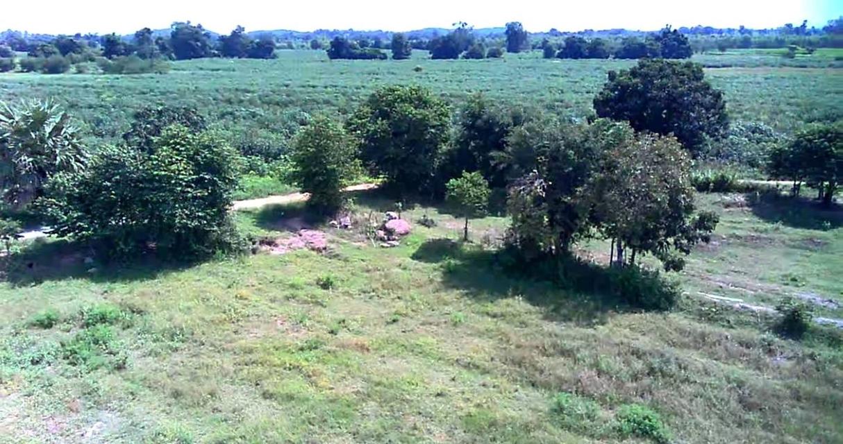 ขายที่ดินเปล่า ทำเลดี ติดถนนปูน ไฟฟ้าถึง จังหวัดสุพรรณบุรี 12