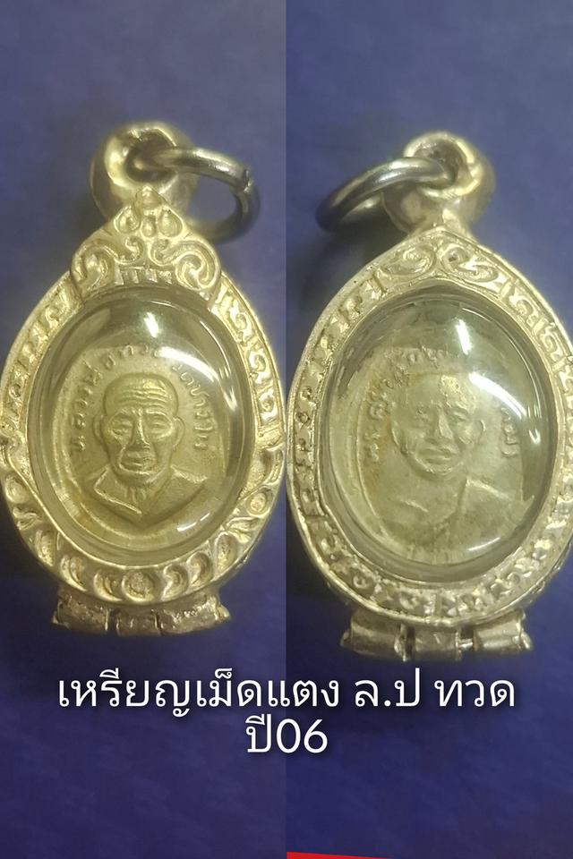 เหรียญเม็ดแตง ล.ป ทวด ปี06