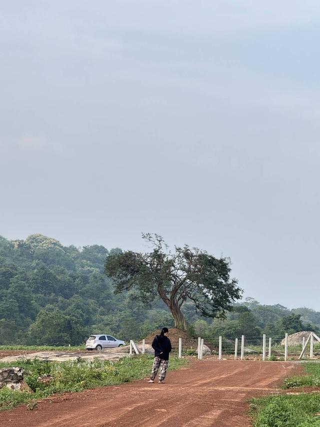 ที่ดินเเบ่งขาย วิวบนเขามีน้ำในเเปลง คมนาคมสะดวก ลานกางเต้นท์