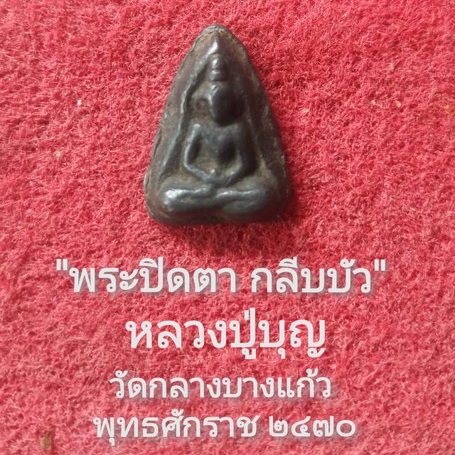 ปิดตากลีบบัว หลวงปู่บุญ วัดกลางบางแก้ว