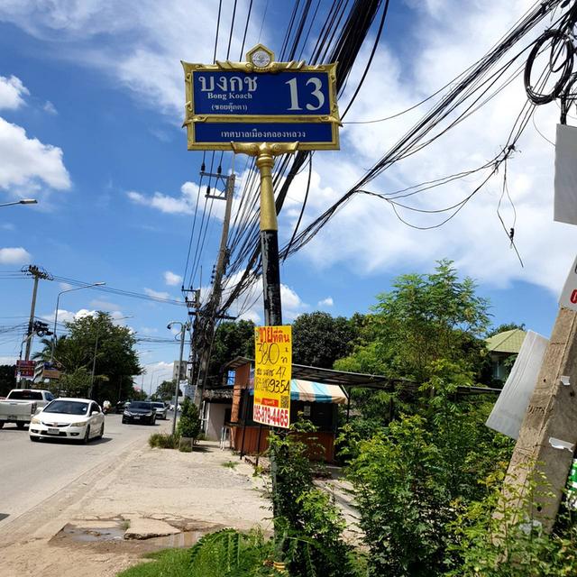 ขายที่ดินเปล่า  2