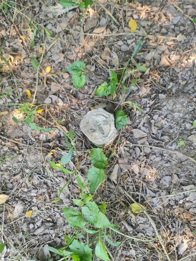 ขายที่ดินทับสะแกแลนด์ 5-3-96 ไร่ ติดถนนสายเอเชีย ทำเลทอง ราคาสำหรับนักลงทุน เพชรเกษมขาล่องใต้ ประจวบคีรีขันธ์ 11