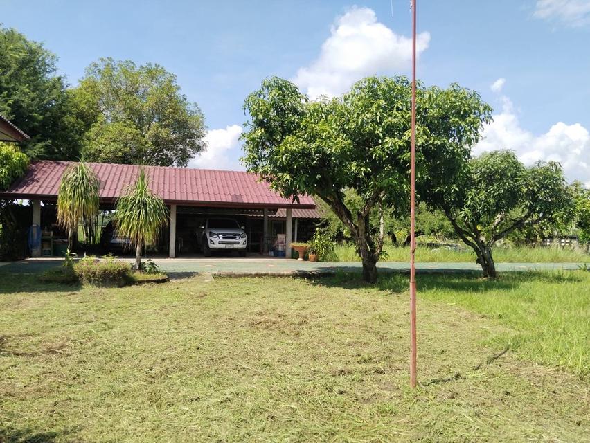 🏡ขายที่ดินพร้อมบ้านสวน พร้อมเข้าอยู่ 👩‍🌾👨‍🌾  📍ตำบล สง่าบ้าน อำเภอดอยสะเก็ด จังหวัดเชียงใหม่ 1