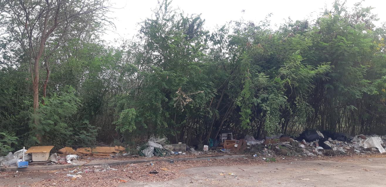 ขายที่ดินโครงการโกลเด้น แฟคทอรี่  ที่ดินจำนวน  2 – 2 - 91 ไร่ 8