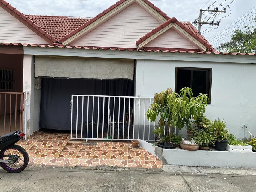 บ้านทาวน์เฮ้าส์หลังริม 31 ตารางวา 1