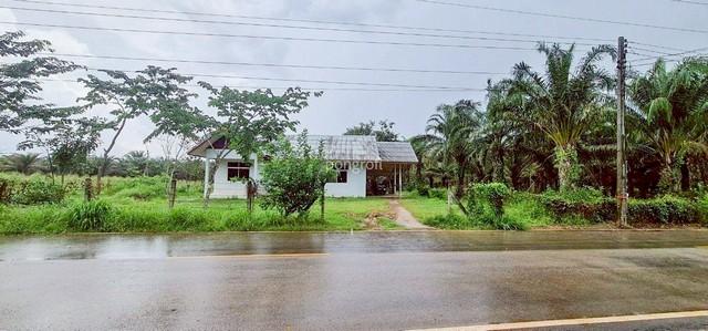 ที่ดิน 54 ไร่ 139 ตร.ว มีครบ! สวนยาง–สวนปาล์ม–บ้าน–น้ำใช้ตลอดปี จ.สระแก้ว 1