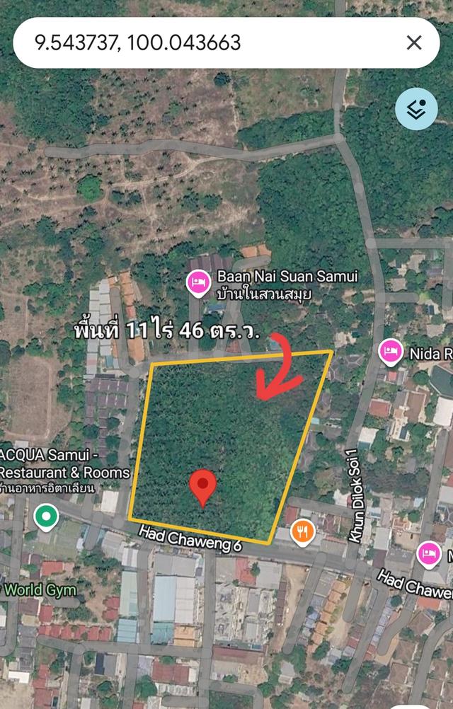 ขาย ที่ดินใจกลางเกาะสมุย แปลงสวย มี 2 แปลงใหญ่ ราคา 1.6 ล้าน 2