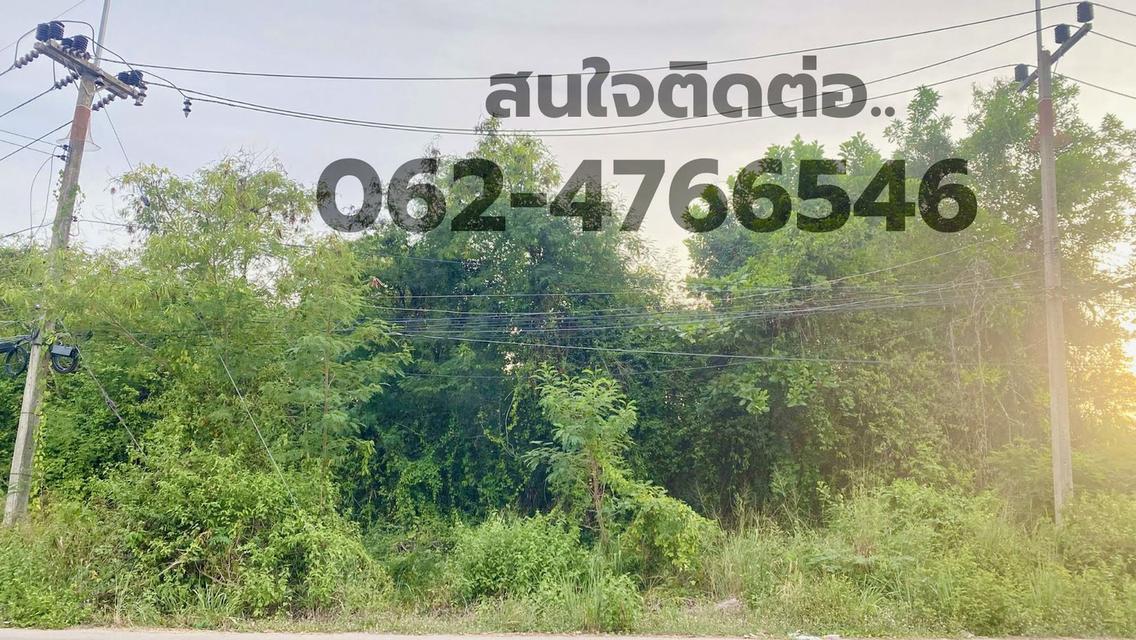 ที่ดินติดถนนหลัก ใกล้สนามบินชุมพร ใกล้ทะเล และเดินทางสะดวก 4