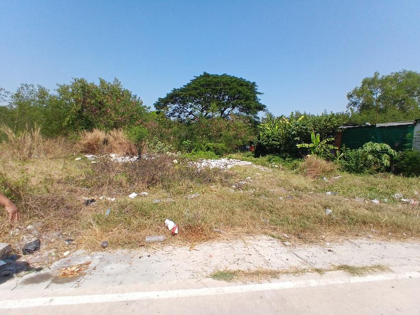 ขายที่ดินเนื้อที่ 200 ตารางวา ถมแล้ว คลองสาม 11/9 คลองหลวง จังหวัดปทุมธานี 4