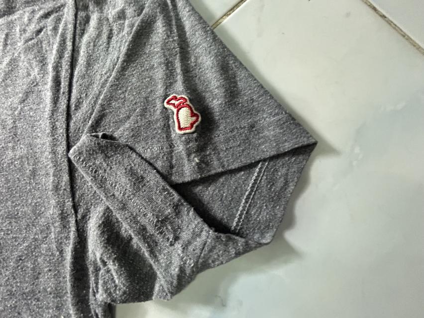 🇺🇸 Vintage Style: The Mitten State "Love Lake Michigan" | Made in USA | แขนเดี่ยว | ผ้าเนื้อทราย รูปที่ 6