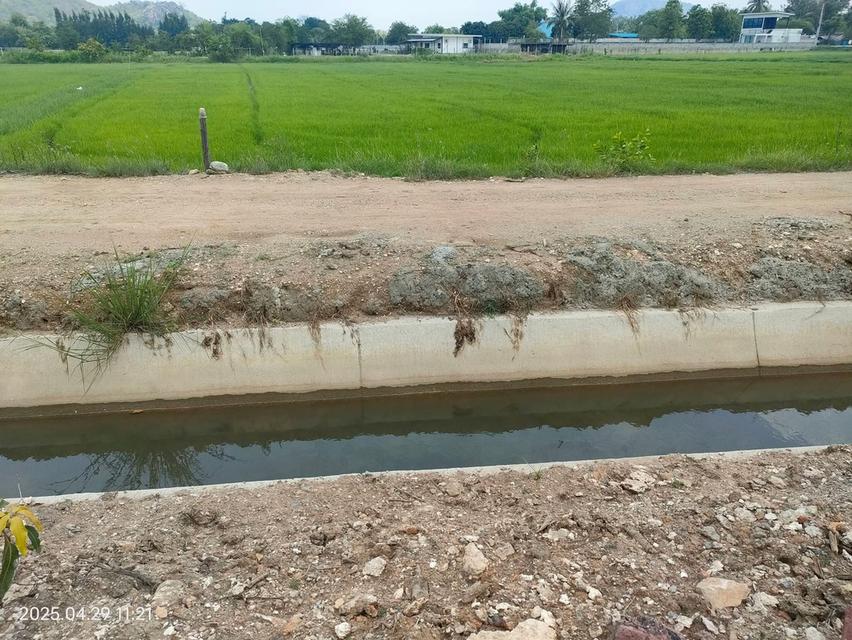 ที่ดินทำสวนฝรั่ง จ.ราชบุรี 7