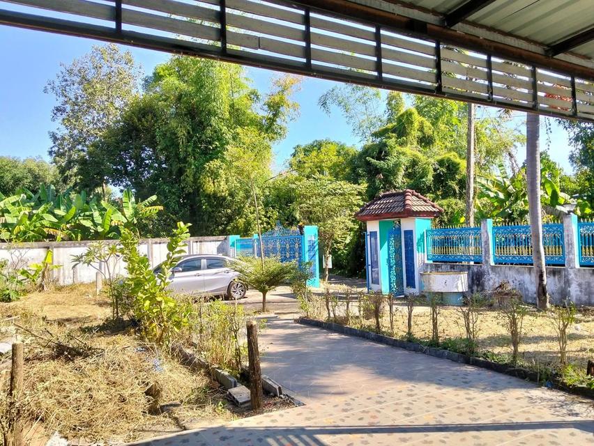 บ้านเดี่ยว5ห้องนอน3ห้องน้ำ เนื้อที่ 2งาน 60ตรว. บ.หนองสะโน ต.ดอนนางหงส์ อ.ธาตุพนม จ.นครพนม 20