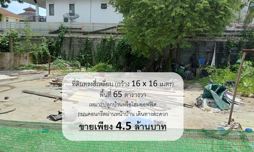 ที่ดินสวย 65 ตรว. งามวงศ์วาน 31 4