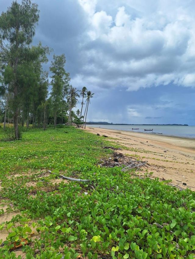 ที่ดิน หาดตะวันฉาย อ.ละแม จ.ชุมพร 3