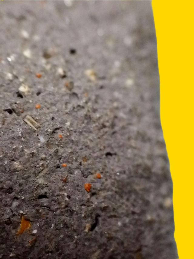 ปู่ทวดเนื้อว่าน 2497 3