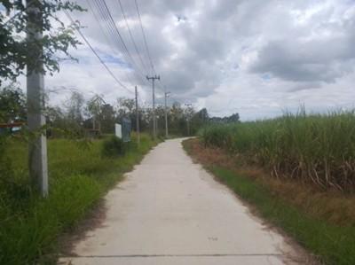 ขายที่ดินสวยหนองบอนแดงบ้านบึงราคาถูก 4 ไร่ 30 ตารางวา ทำเลดี ใกล้ถนนสาย 349 6