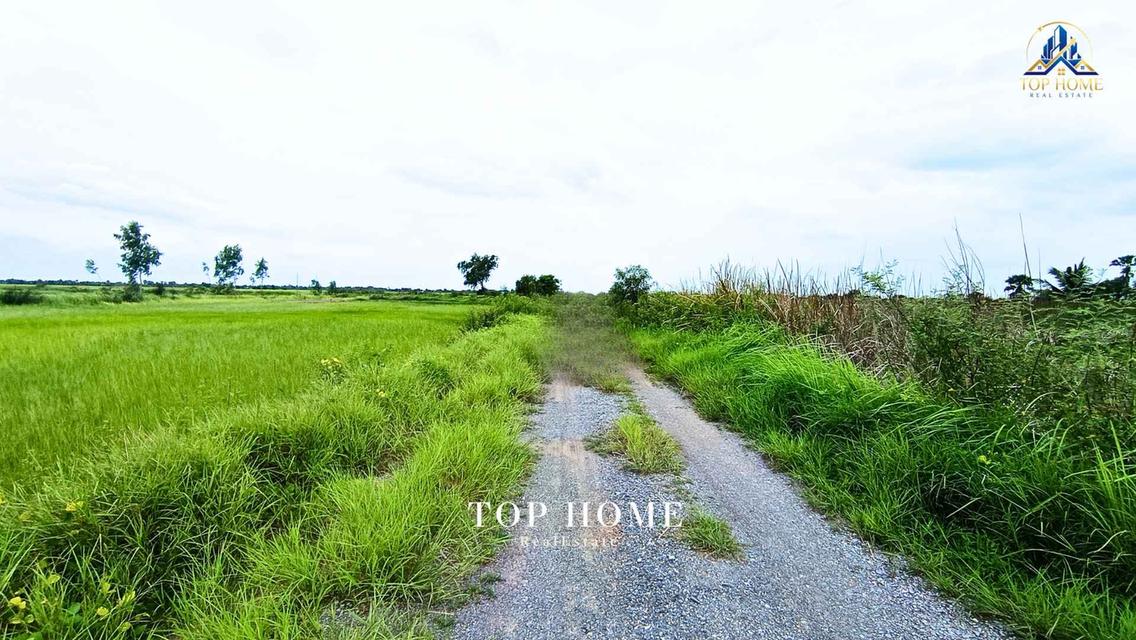 ขายด่วน! ที่ดินเปล่า 200 ตร.ว. องครักษ์ 24 — ราคาเพียง 590,000 บาท! 🔥 🌿 แปลงสวย ขนาดกำลังดี เหมาะทำสวน–เพาะปลูก | โฉนดเดียว 11