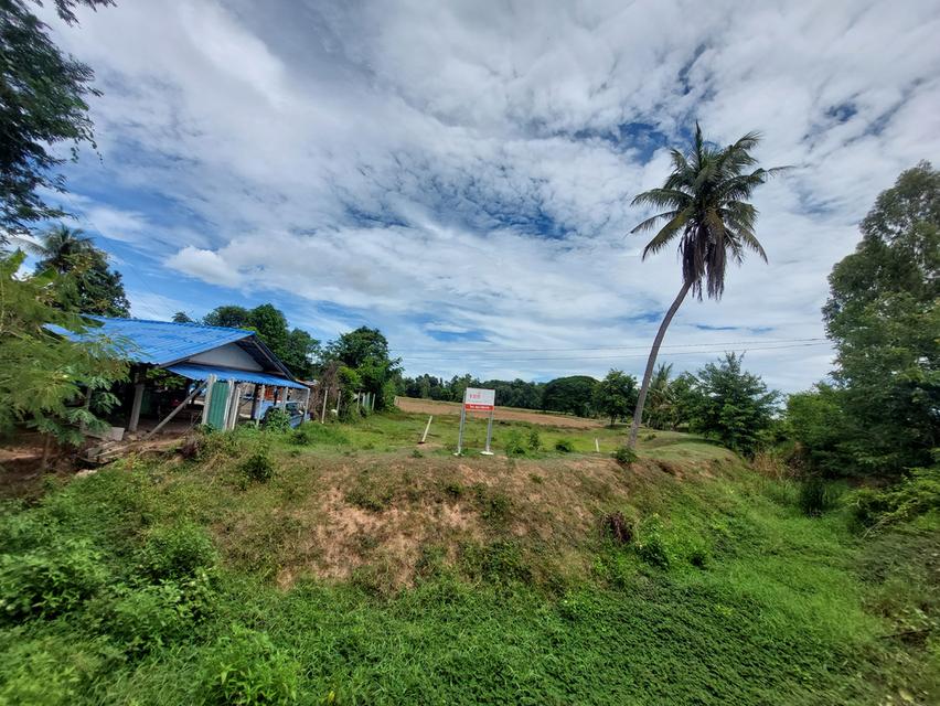 ขายด่วน! ที่ดินสีม่วง 8 ไร่เศษ หนองชุมพล อ.เขาย้อย จ.เพชรบุรี ทำเลสร้างโรงงาน-โกดัง ราคาถูกมาก 1