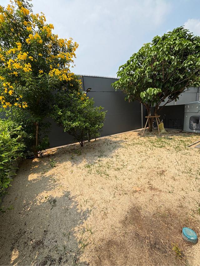 🏘️ขายบ้านแฝด  หมู่บ้านInizio 3 ปิ่นเกล้า-วงแหวน บ้านมุม สภาพดีเยี่ยม 4