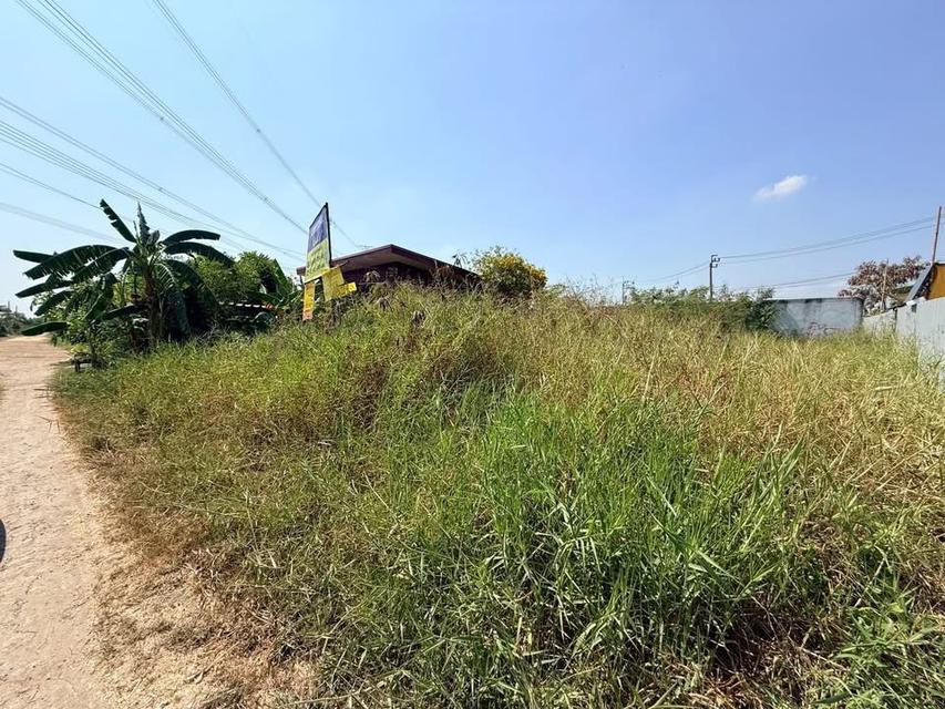 ขายที่ดิน 55 ตารางวาซอยดำรงชาติ หนองจอกกรุงเทพฯ 3