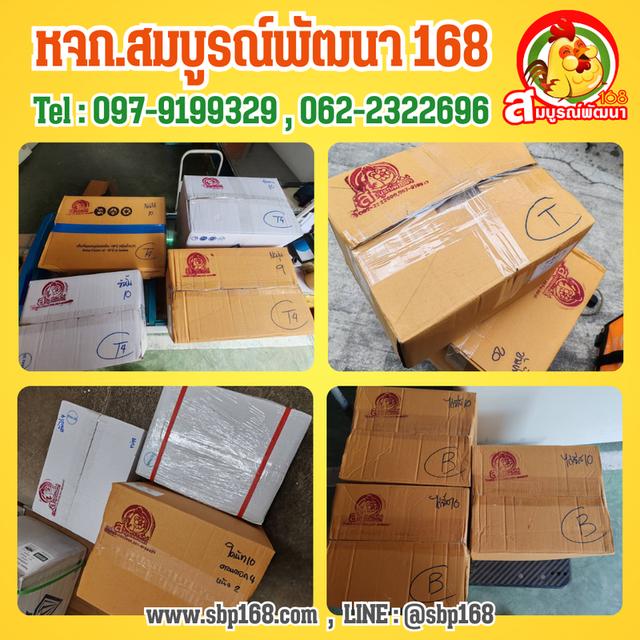 อาหารแช่แข็งราคาส่ง ขายส่งอาหารแช่แข็ง SBP168 AROIFROZENFOOD