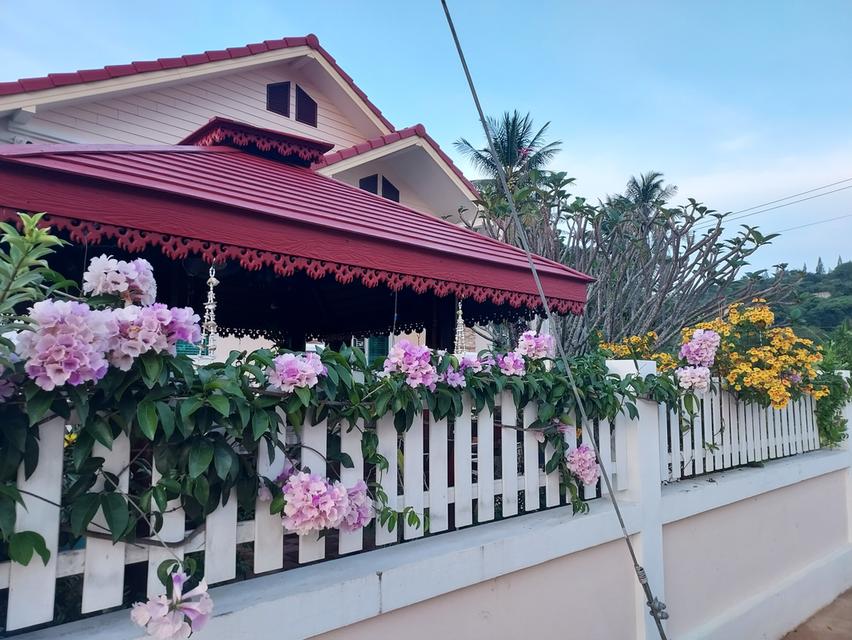 บ้านเดี่ยวชั้นเดียวพร้อมเฟอร์ วังก์พง 3