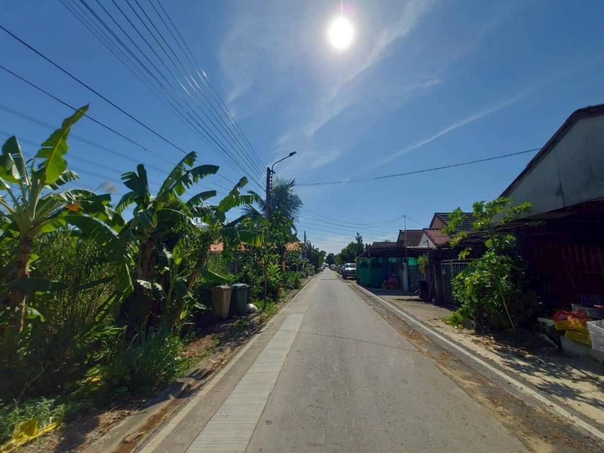 ขายที่ดินเปล่า ซอยฉัตรหลวง 1 ไทรน้อย นนทบุรี