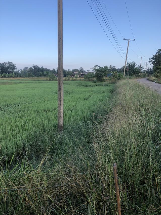 ขายที่ดินของตัวเองค่ะ 2