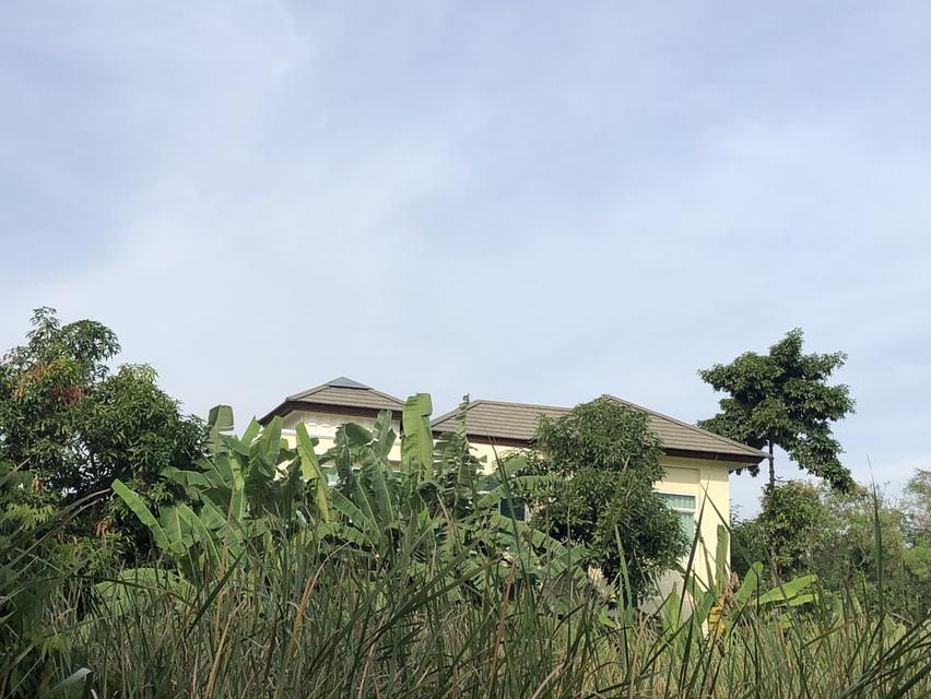 บ้านเดียว 2 ชั้นพร้อมสระว่ายน้ำ 12