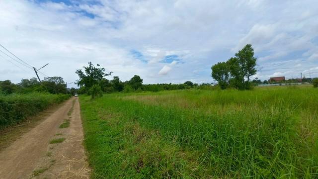 ขายที่ดิน คลอง7 หนองเสือ ปทุมธานี 2 ไร่ 65 ตรว ต.บึงชำอ้อ อ.หนองเสือ จ. ปทุมธานี 6