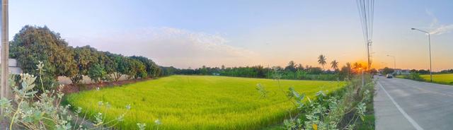 ที่ดิน 2-2-46 ไร่ ติดถนนใหญ่ อบต หนองเพรางาย ไทรน้อย นนทบุรี ถนนกว้าง 10 เมตร เหมาะสร้างโกดังสินค้า โรงงาน อู่รถยนต์ ศูนย์กระจายสินค้า สำนักงาน