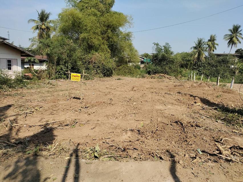 ขายที่ดินเปล่า ทำเลดี หน้าหลังติดคลองน้ำ อำเภอเมืองพิจิตร จังหวัดพิจิตร