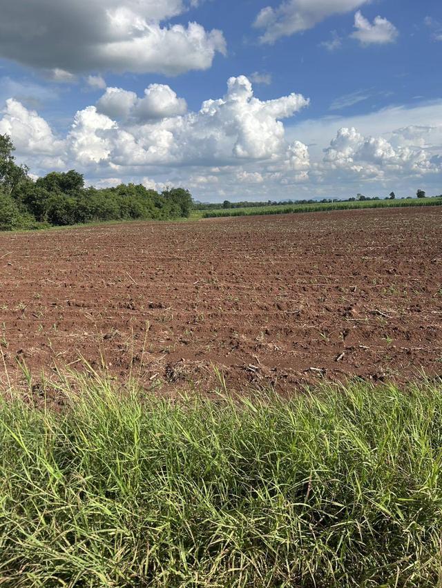 ไร่ละ1แสนขายทีดิน107ไร่ จ.ลพบรี 2