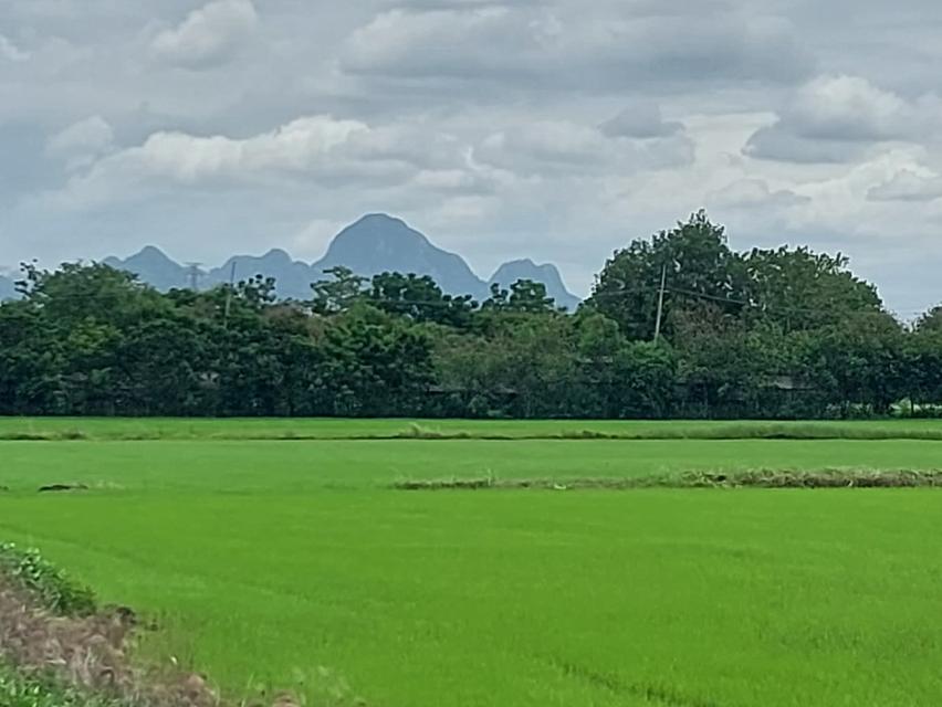 ที่ดิน 1