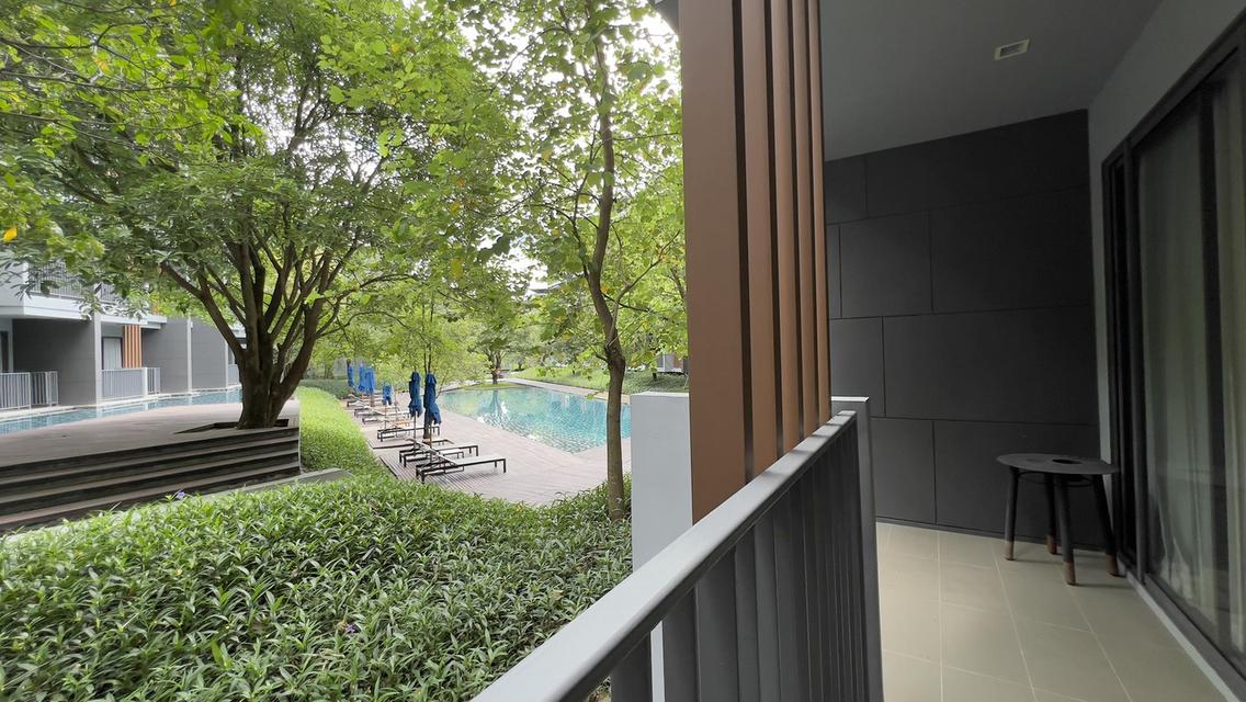 ขายคอนโดเขาใหญ่23องศา 23 Degree Condo by Sansiri 97ตรม.ราคา6.9ล้านติดต่อสอบถามโทร0934415691 4