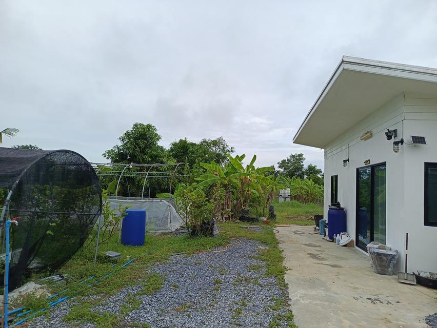 ขายที่ดิน 1