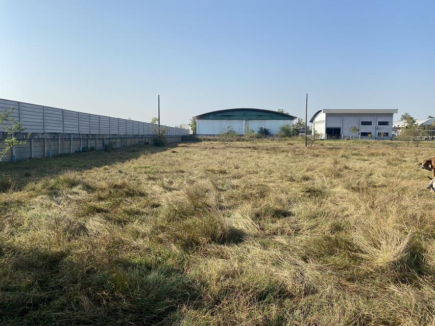 ขายที่ดิน 125 ตรว จังหวัด ลำพูน ต มะเขือแจ้ อ เมือง  ขาย 250,000 3