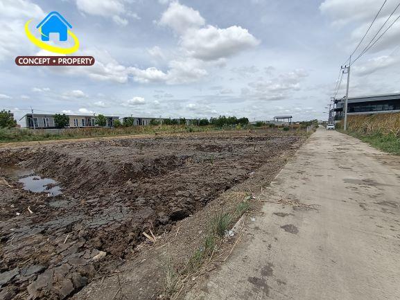 ขายที่ดิน 1 ไร่ ถึง 4 ไร่ ซอยไสวประชาราษฎร์ 45 ตำบลคลองสี่ อำเภอลำลูกกา จังหวัดปทุมธานี 3