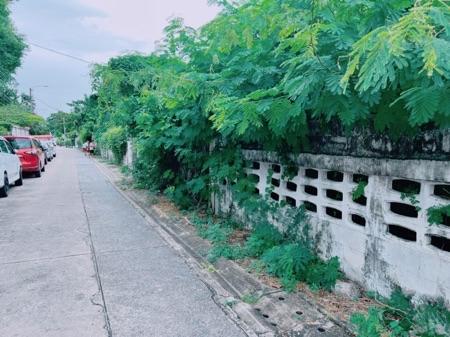 ขาย ที่ดิน สะพานควาย อินทามาระ 1 งาน 14 ตร.วา ถมแล้ว ใกล้ BTS สะพานควาย พหลซอย14 อินทามาระ 3