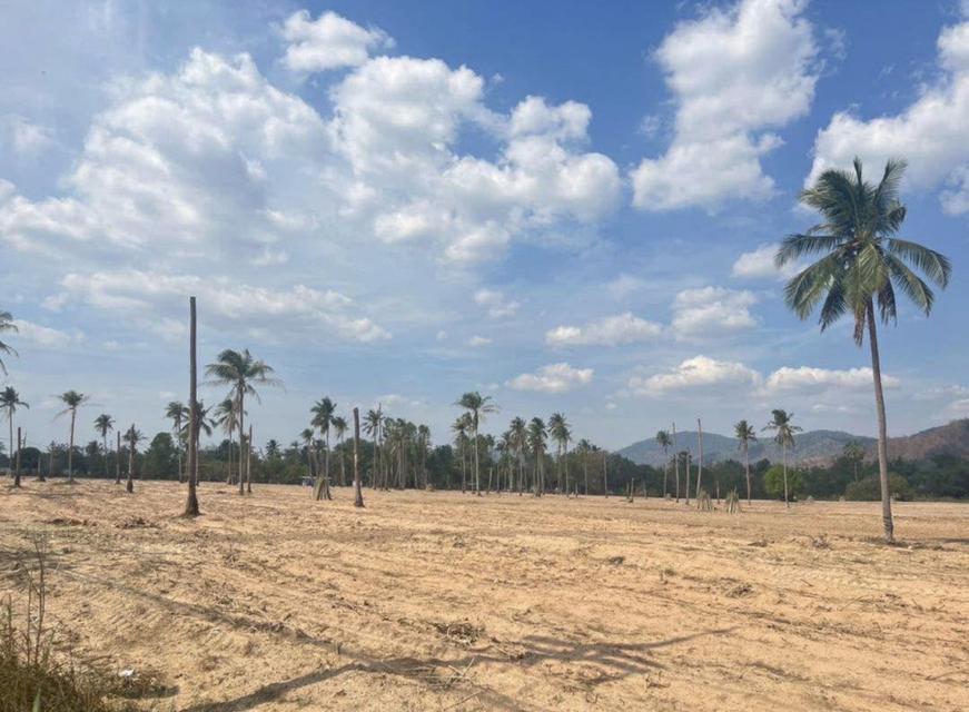 ขายที่ดินศักยภาพสูง ผังม่วงลาย (อุตสาหกรรม)  ชลบุรี บางละมุง นครแหลมชะบัง 6