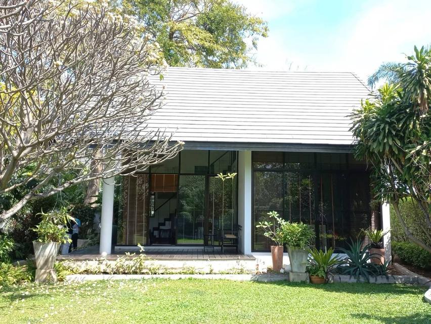 ขายบ้านเดี่ยวพัฒนาการ บ้านหรูพร้อมสวนขนาดใหญ่ ที่ดิน200ตร.ว เอื้อสุข พัฒนาการ56 ใกล้รร.เตรียมอุดม ศรีนครินทร์ สนามบิน มอเตอร์เวย์ พระราม9 0879074045 4