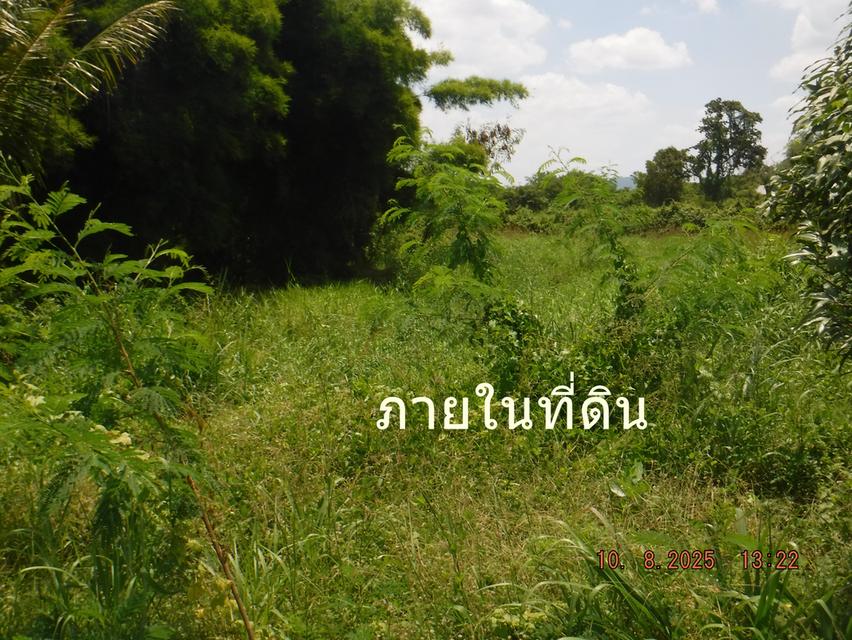 ขายที่ดินพร้อมสิ่งปลุกสร้าง 12 ไร่ ต.ห้วยแห้ง อ.แก่งคอย ไร่ละ 7 แสน 14