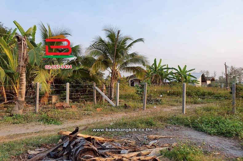 ที่ดินเปล่า  8